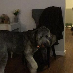 Meet your Posher, Dustin